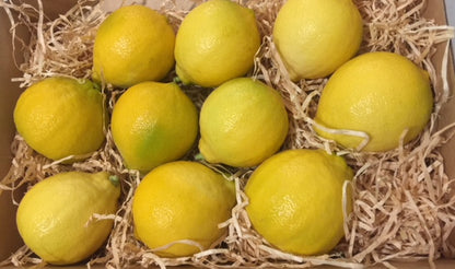 Fresh Bergamot